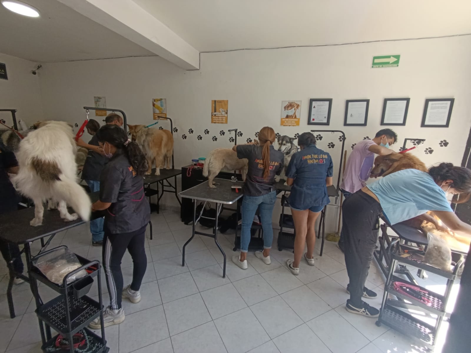 Clase en acción
